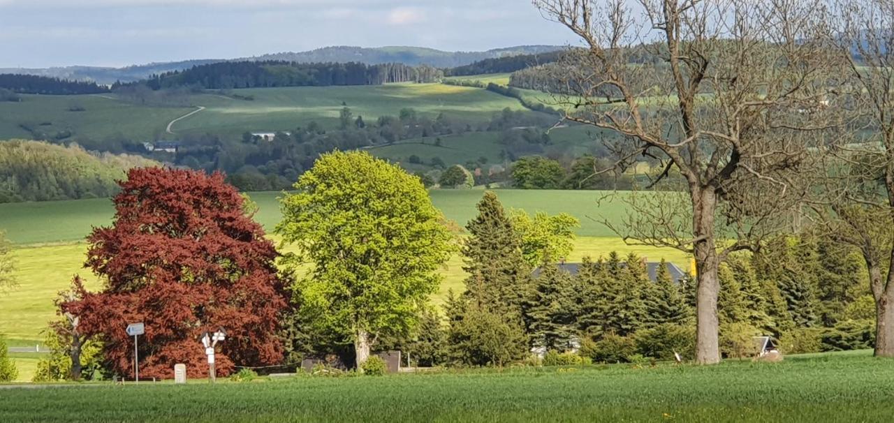 Apartamento Zum Elleblick Frauenstein  Exterior foto