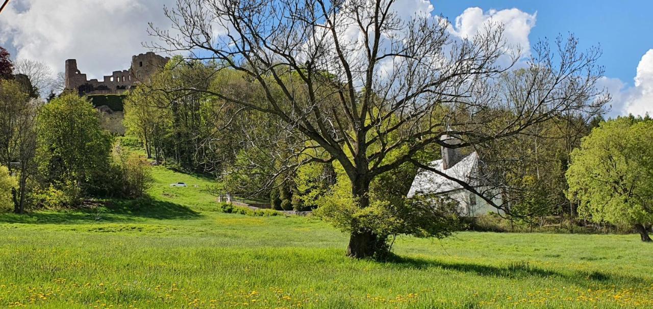 Apartamento Zum Elleblick Frauenstein  Exterior foto